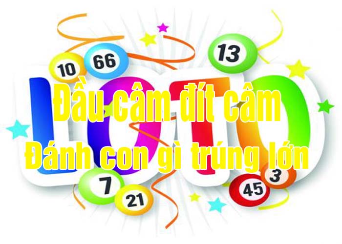 Kinh nghiệm đánh lô câm đầu đít Kinh nghiệm đánh lô câm đầu đít